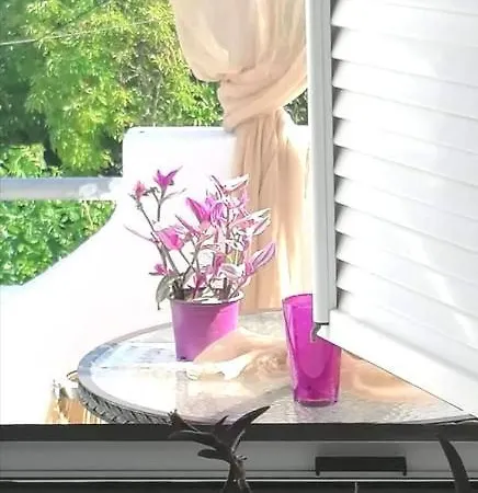 Tatil Evi Boho Vibes *